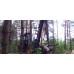 Харвестер АМКОДОР 2541