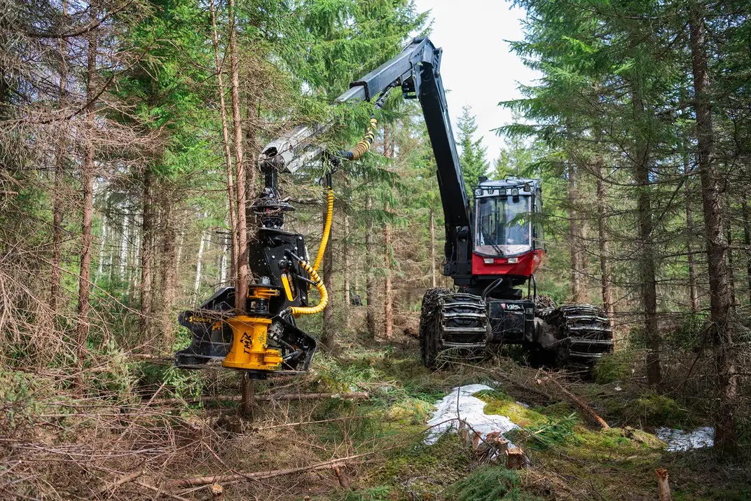 TMK 250 — гидравлические ножницы для древесины в работе на экскаваторе